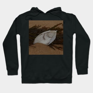 Seaweed and Squid Hoodie